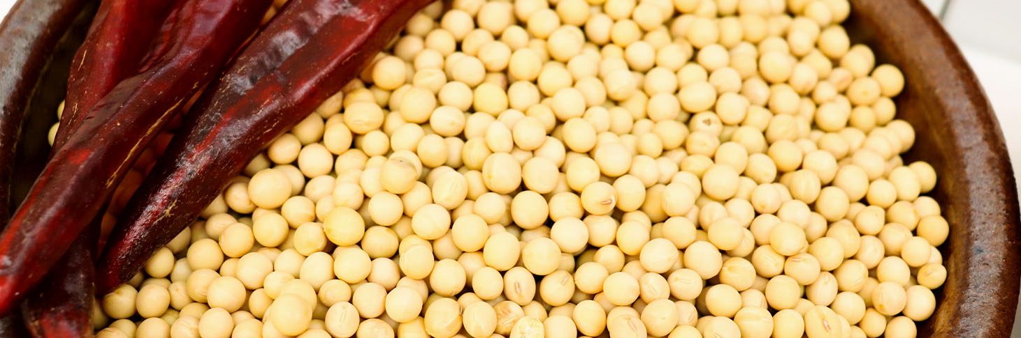 云顶国际官网入口